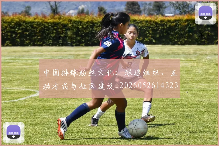 中国排球粉丝文化:球迷组织、互动方式与社区建设_20260526143235