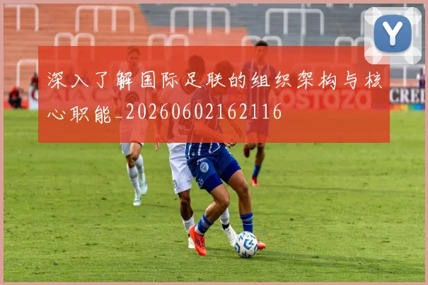 深入了解国际足联的组织架构与核心职能_20260602162116
