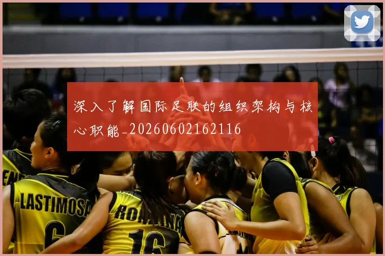 深入了解国际足联的组织架构与核心职能_20260602162116